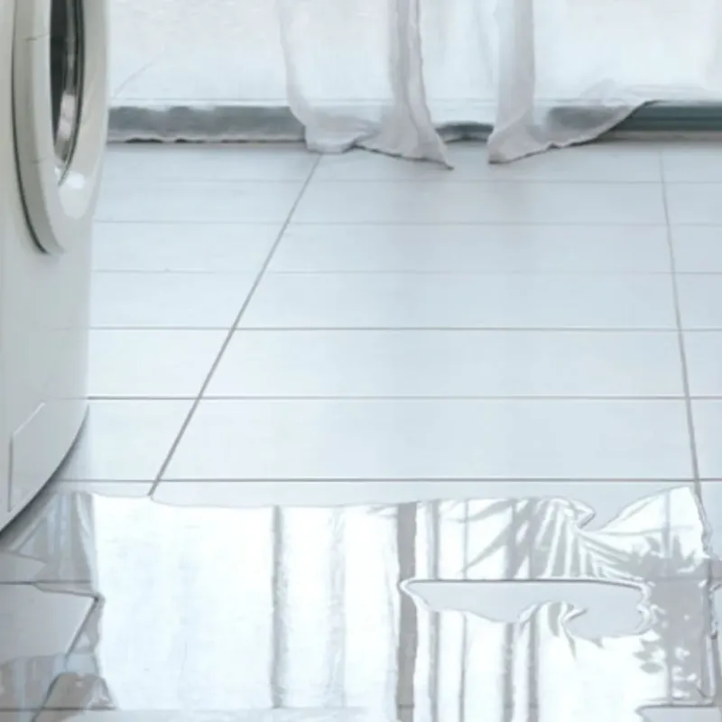 Appliance Leak Cleanup in Woodlawn Beach, FL