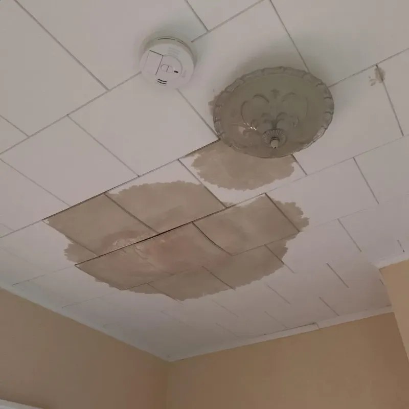 Ceiling Water Damage Repair in Woodlawn Beach, FL