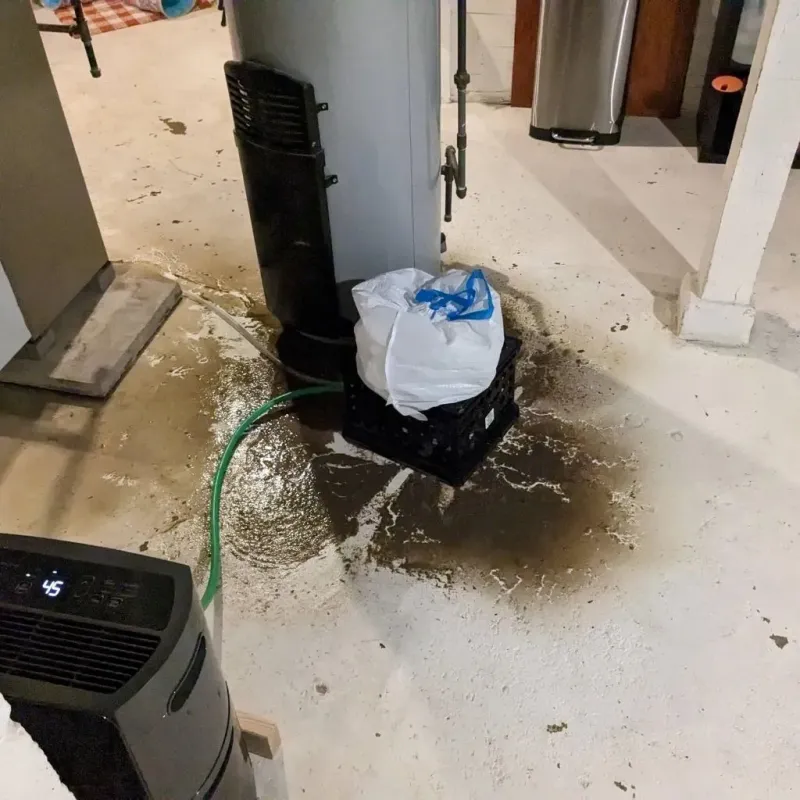 Sewage Backup Cleanup Service in Woodlawn Beach, FL